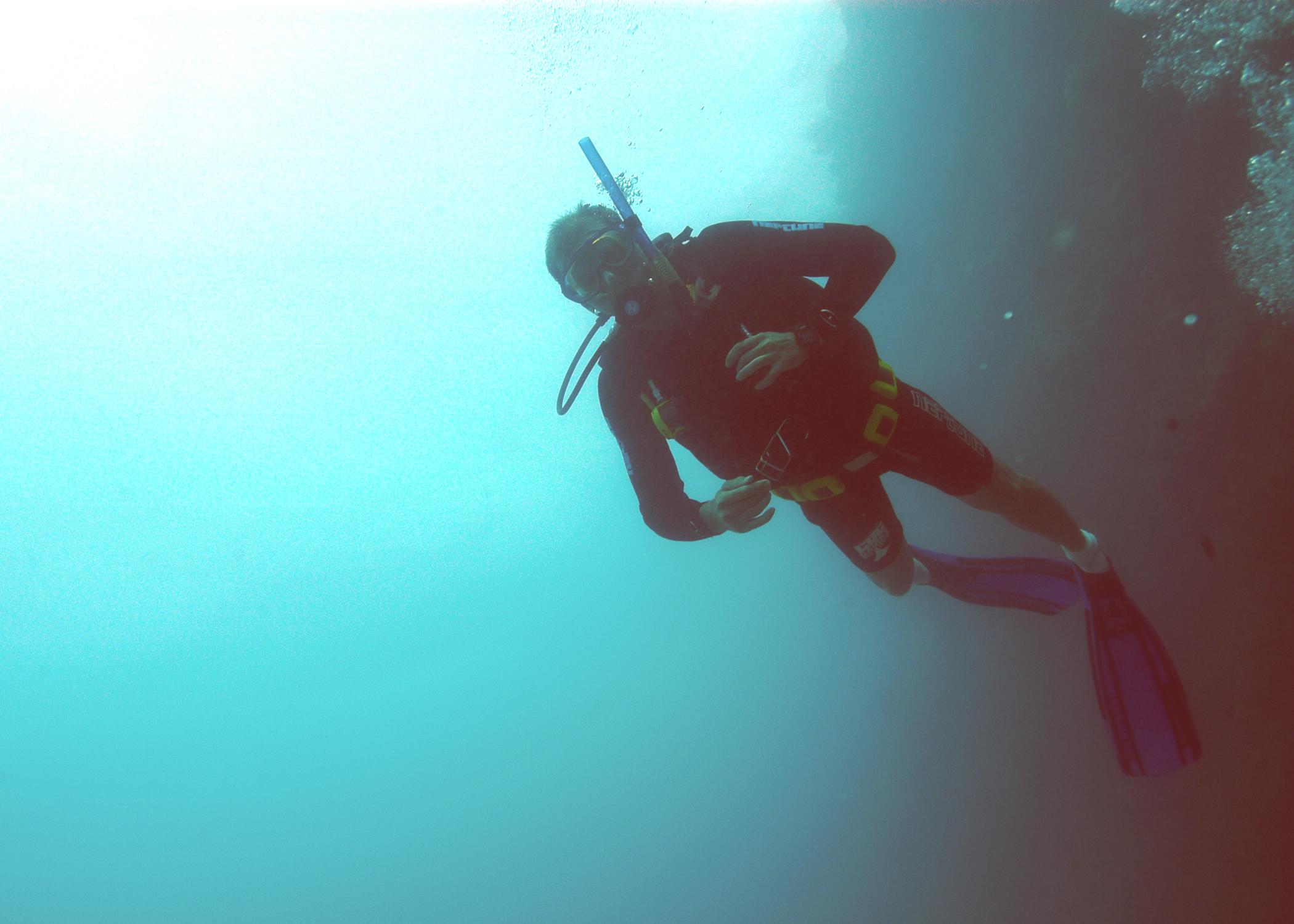 Reef manta ray circling a cleaning station at Tubbataha