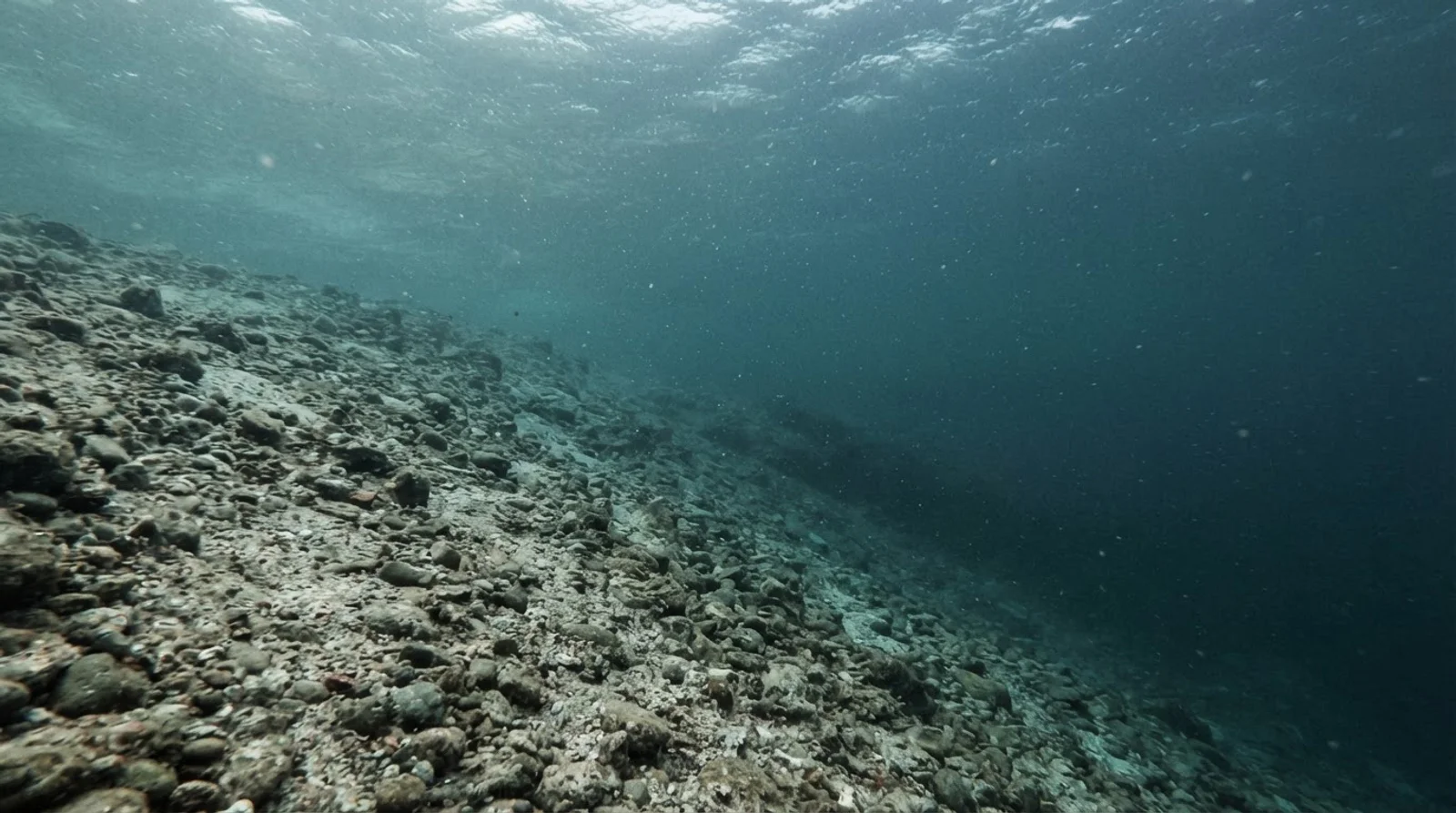 AI-generated illustration; site appearance unverified. Illustrative underwater reef habitat for Pacifico Azul Front. Not a photograph of the site.