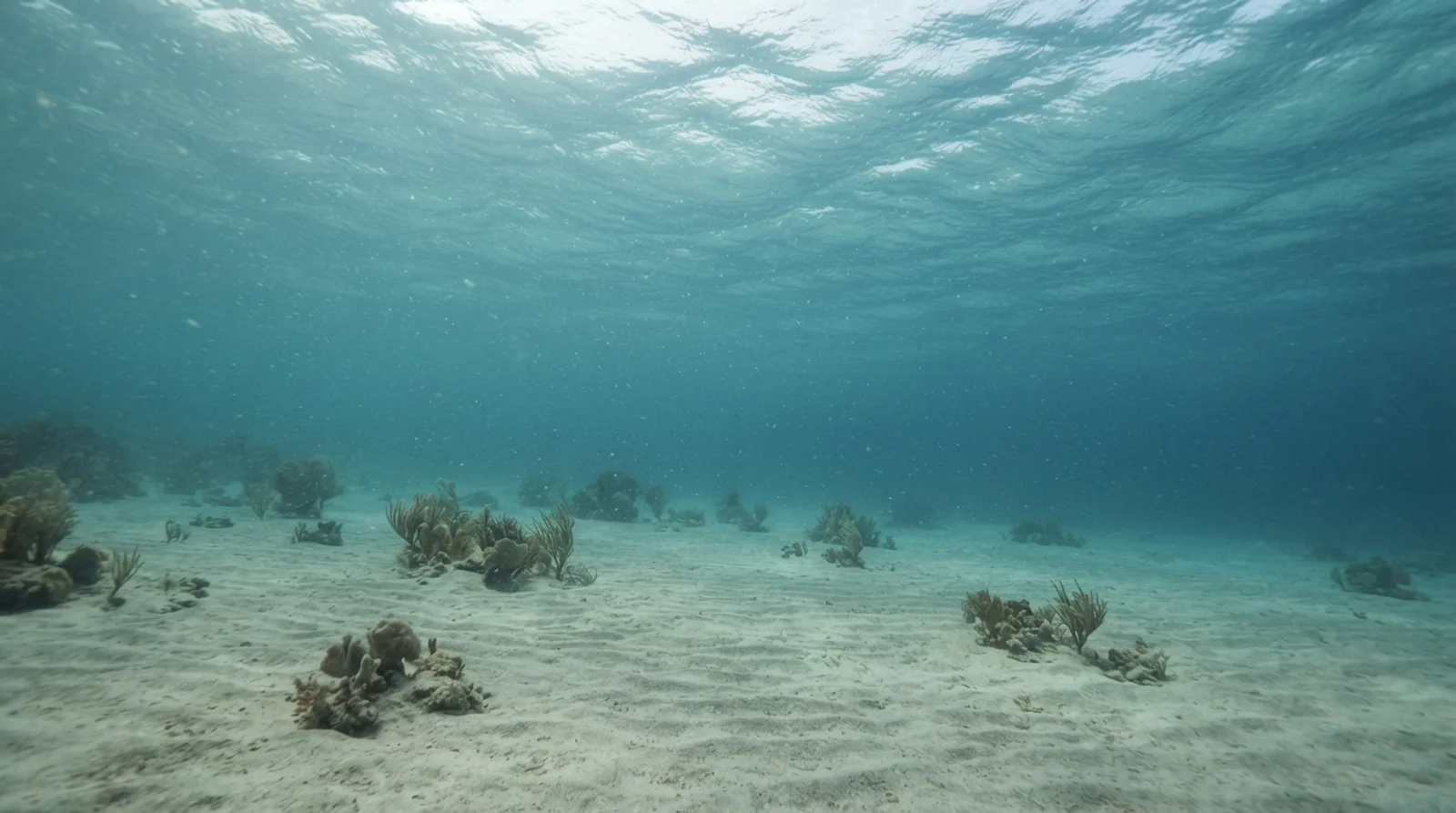 AI-generated illustration; site appearance unverified. Illustrative underwater habitat scene for Pantaw-Pantaw. Not a photograph of the site.