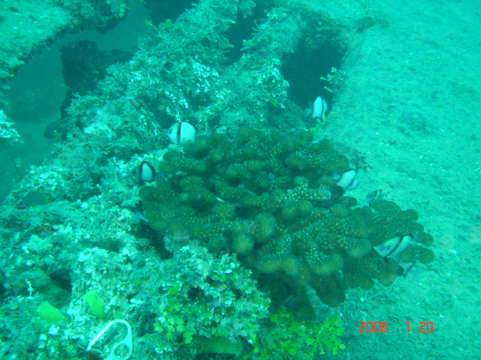 Cross Wreck