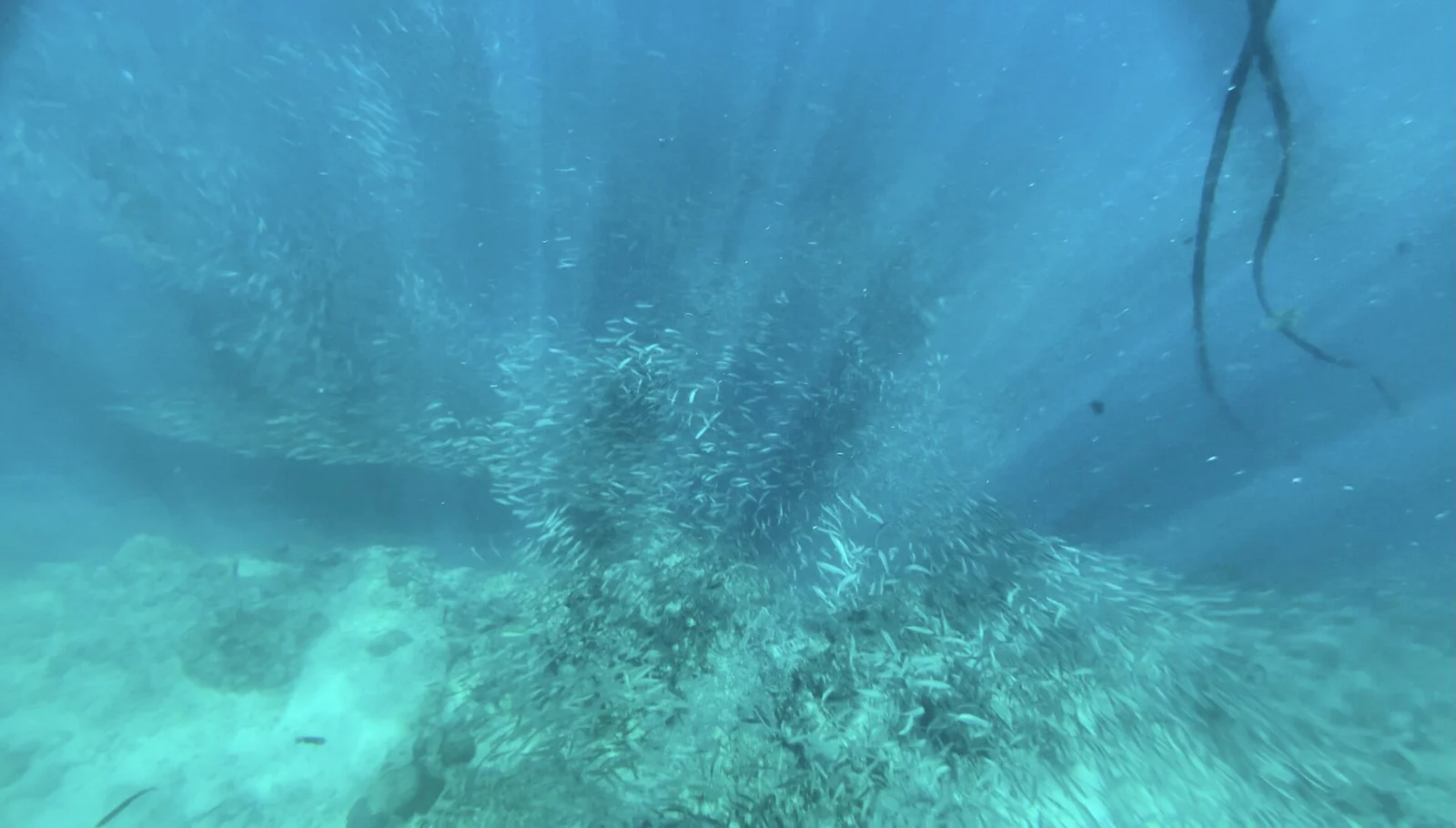 Napaling Reef