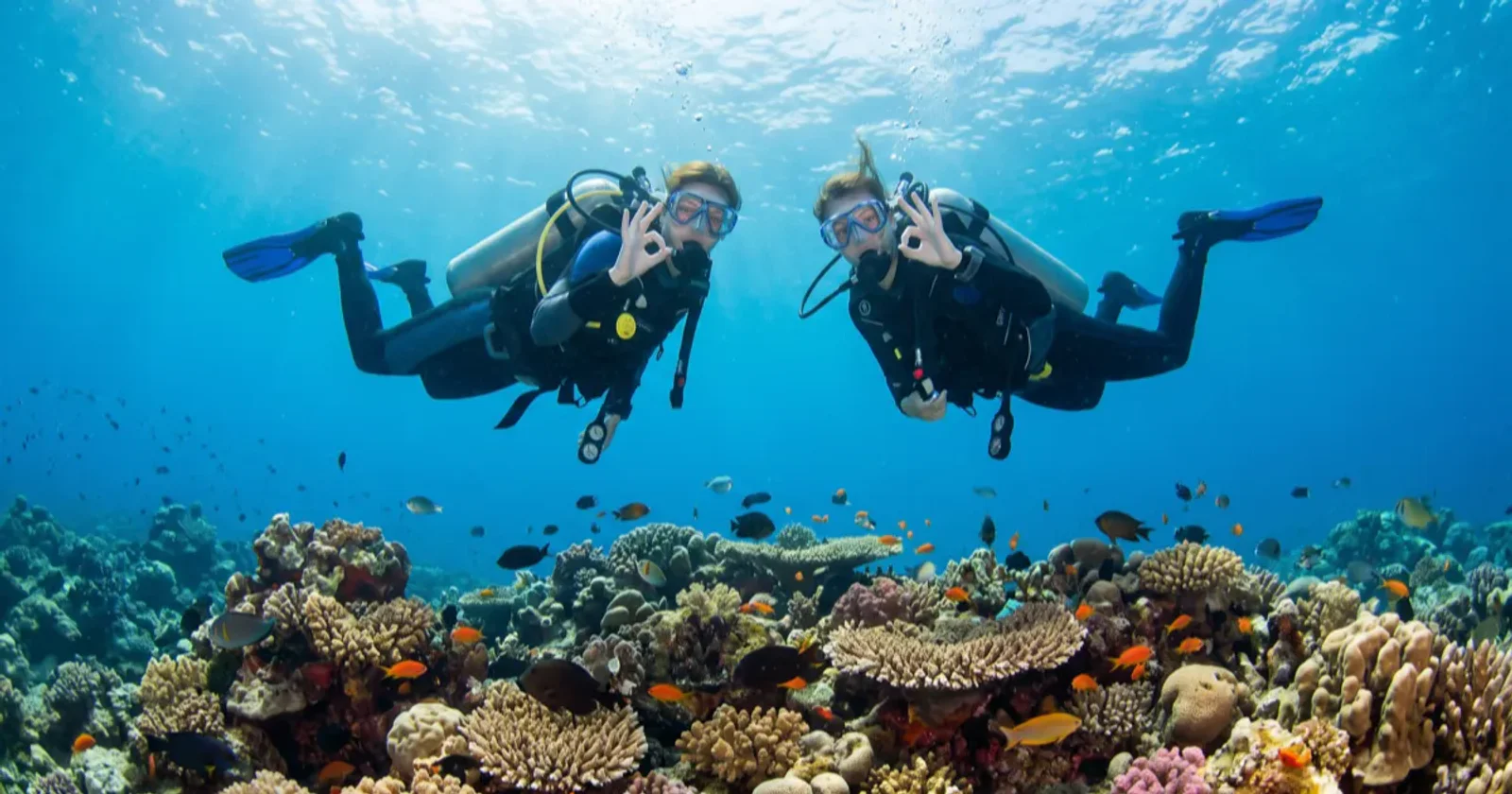 Best Scuba Diving Social Apps Compared (2026)
