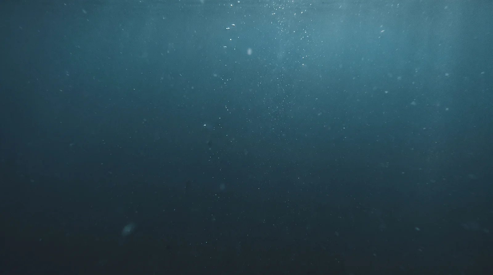 AI-generated illustration; site appearance unverified. Illustrative underwater scene for Shark Wall, Siargao. Not a photograph of the site.