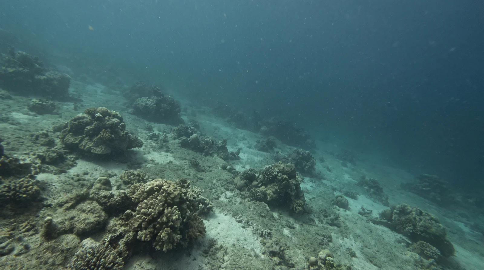 AI-generated illustration; site appearance unverified. Illustrative underwater scene for Stimpy’s, Siargao. Not a photograph of the site.