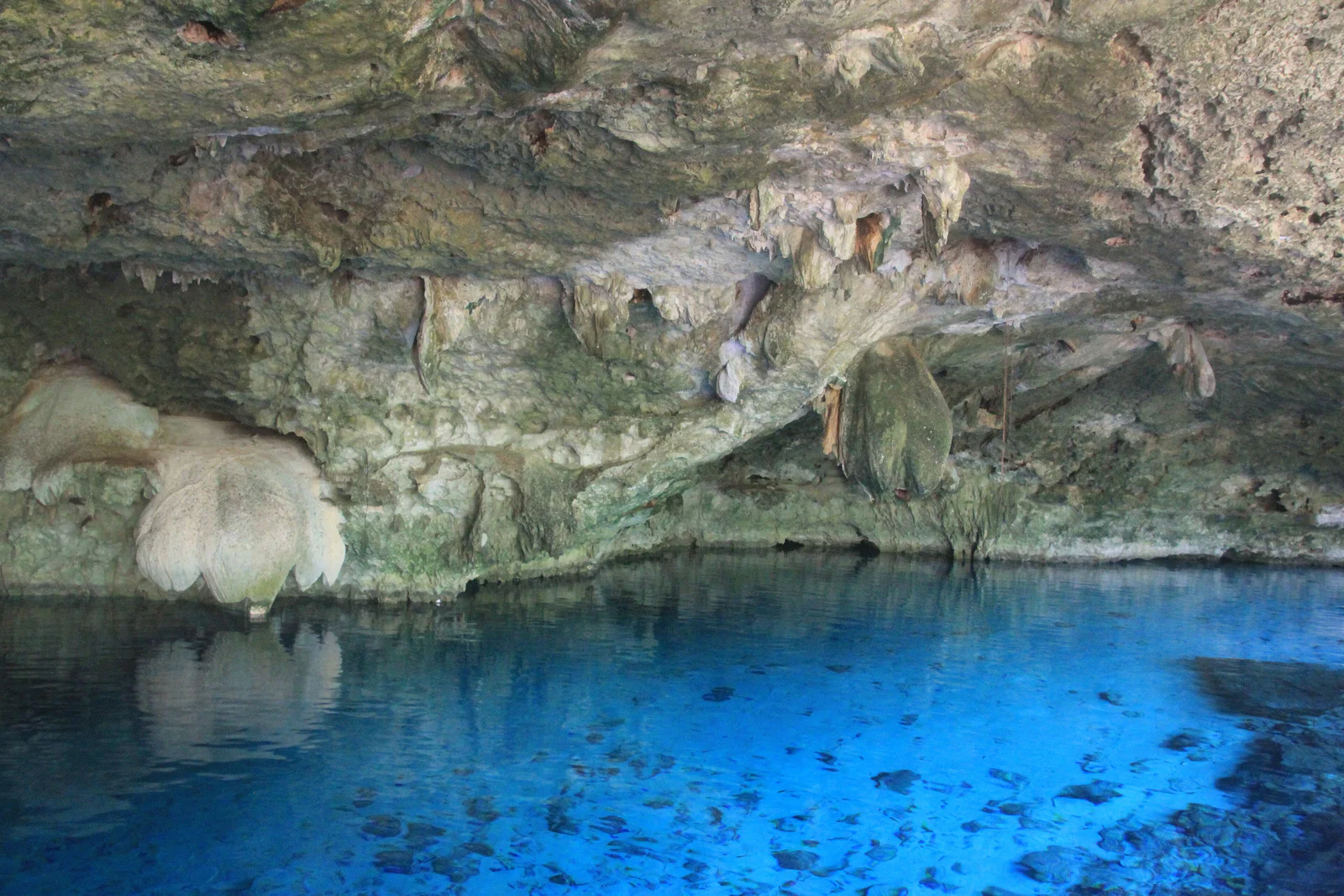 Diving at Cenote Dos Ojos