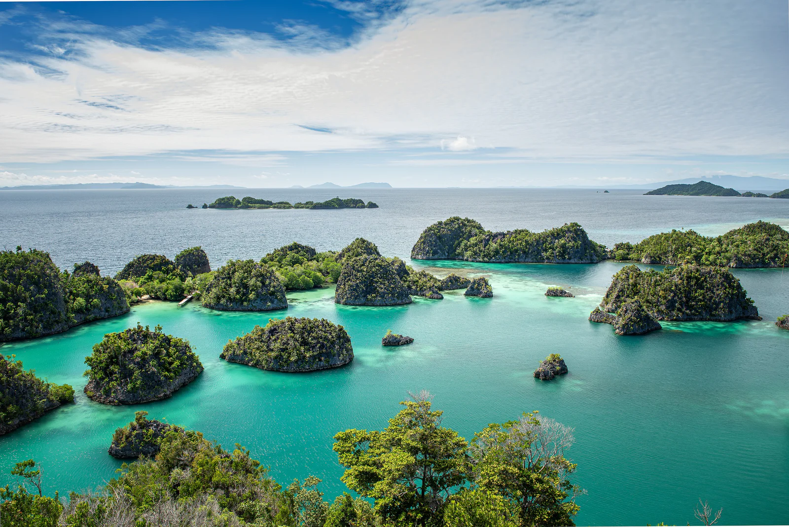 The karst limestone islets and turquoise lagoons of Piaynemo, Raja Ampat, seen from the clifftop viewpoint.