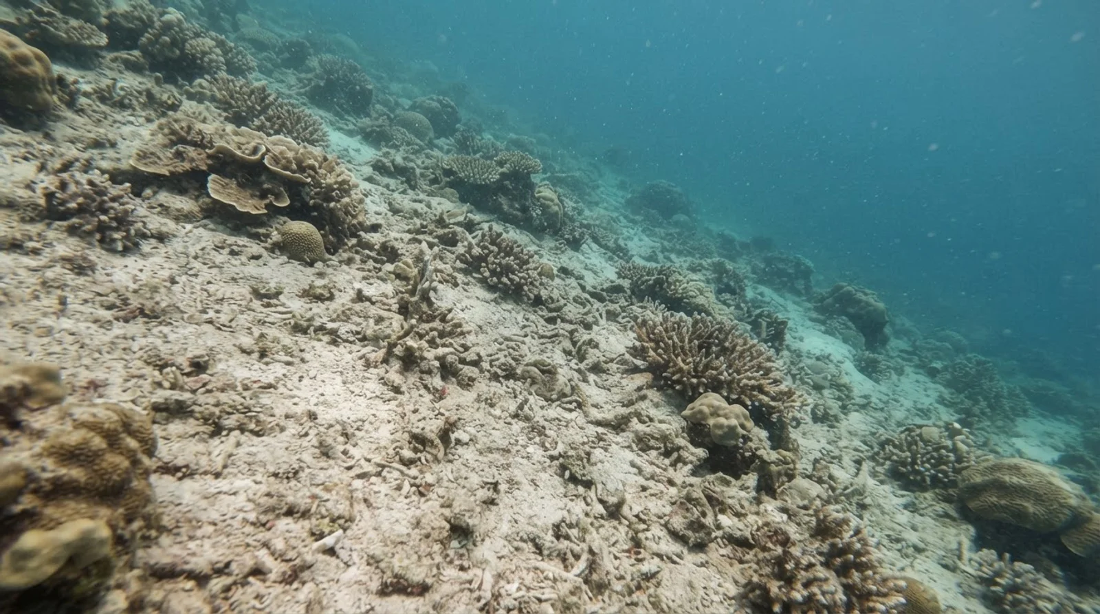 Santa Sofia MPA