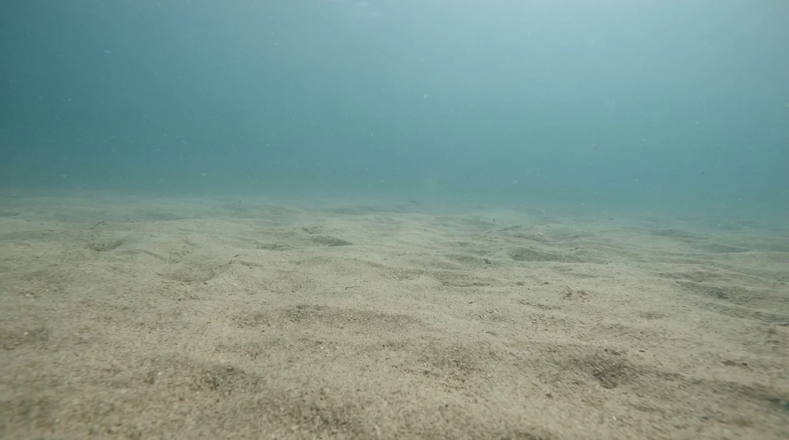AI-generated illustration; site appearance unverified. Illustrative underwater reef habitat for Onad’s Point. Not a photograph of the site.