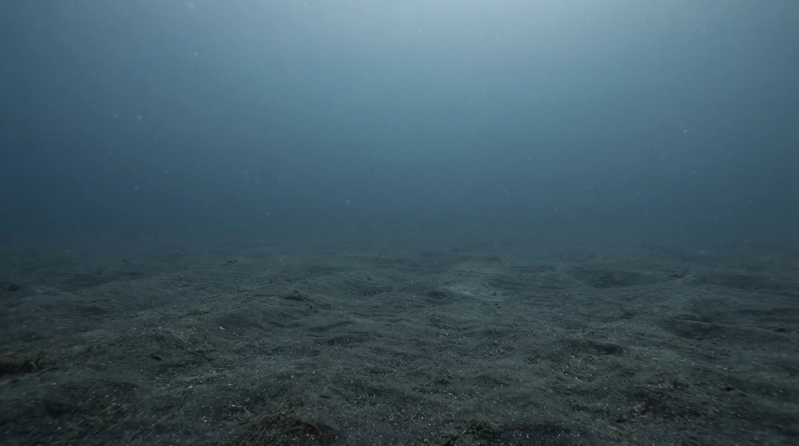 AI-generated illustration; site appearance unverified. Marina Point — generic AI-generated illustration of a Philippine muck dive; not a depiction of this site.