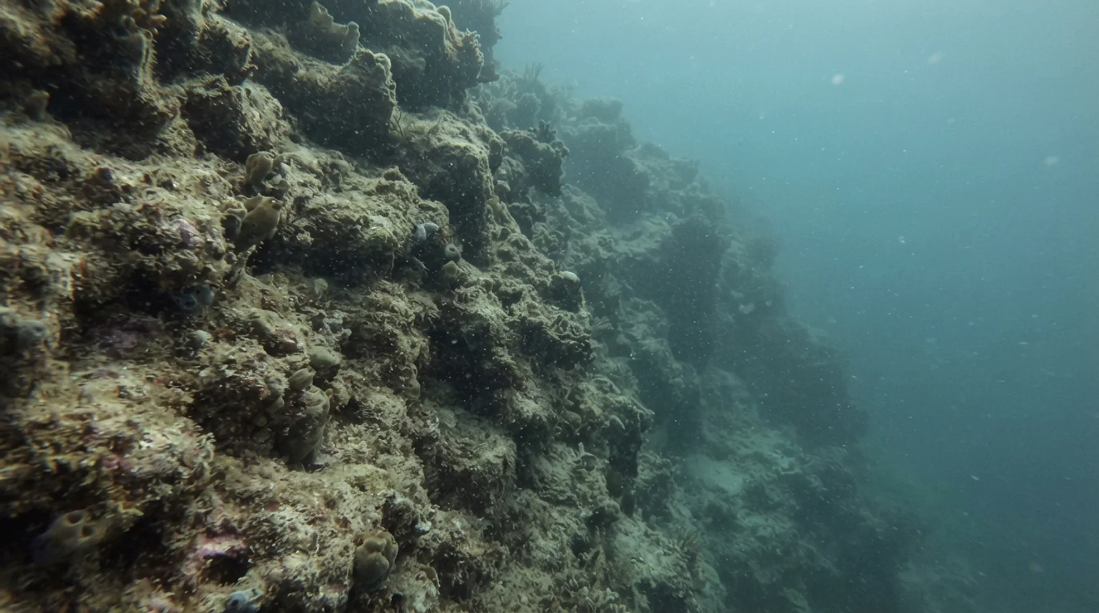AI-generated illustration; site appearance unverified. Blue Hole — generic AI-generated illustration of a Philippine wall dive; not a depiction of this site.