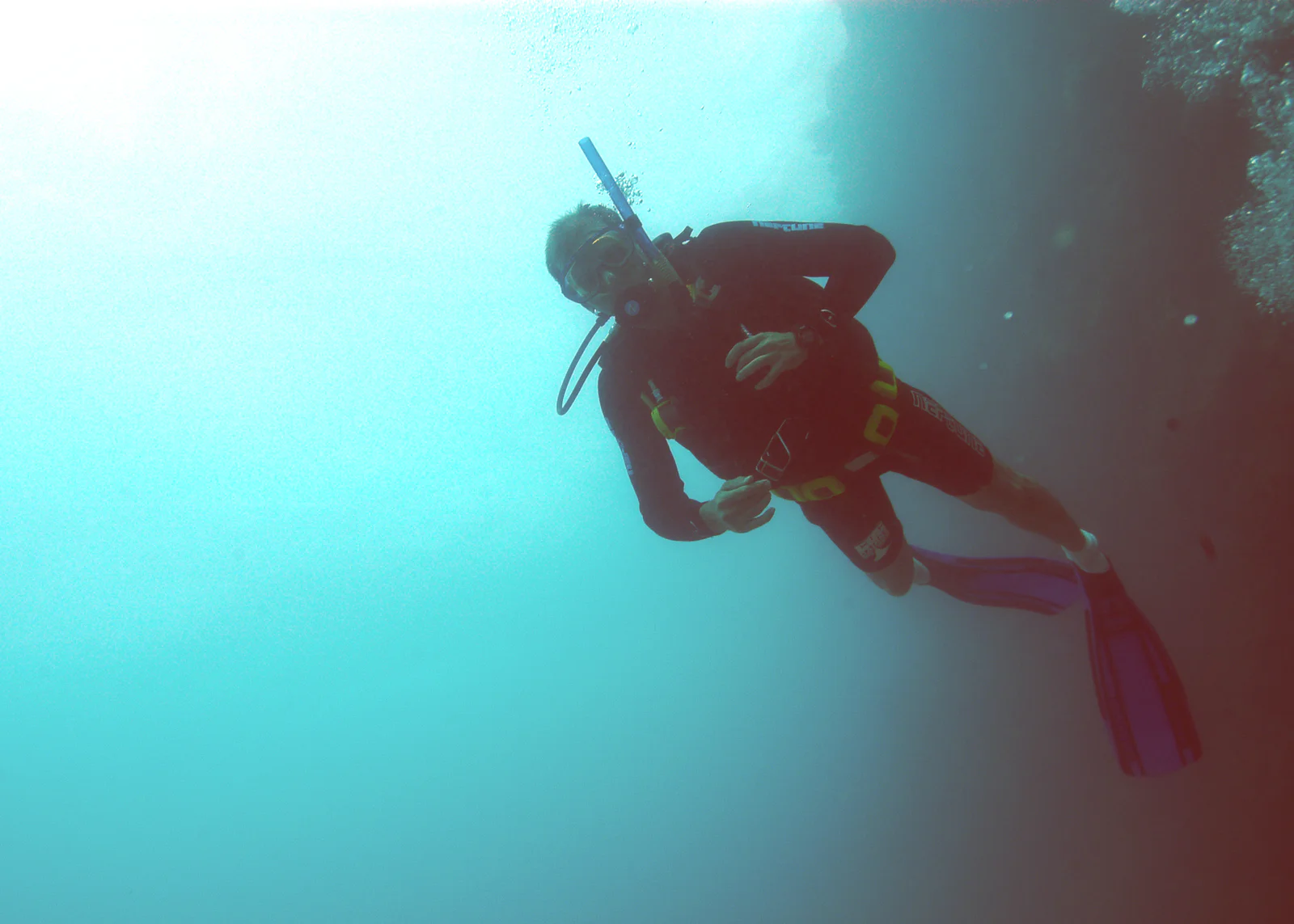 Reef Manta Ray