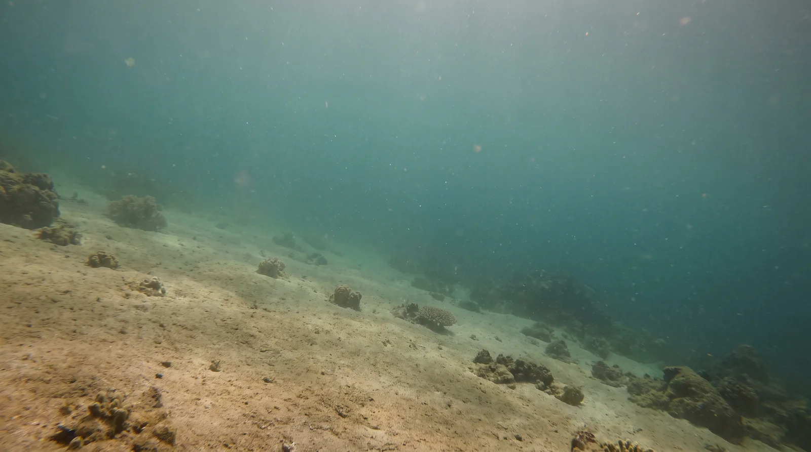 AI-generated illustration; site appearance unverified. Illustrative underwater scene for Rock Island, Siargao. Not a photograph of the site.