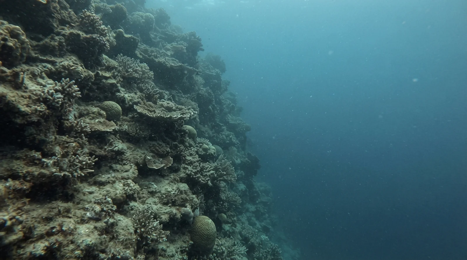 Napantao Marine Sanctuary