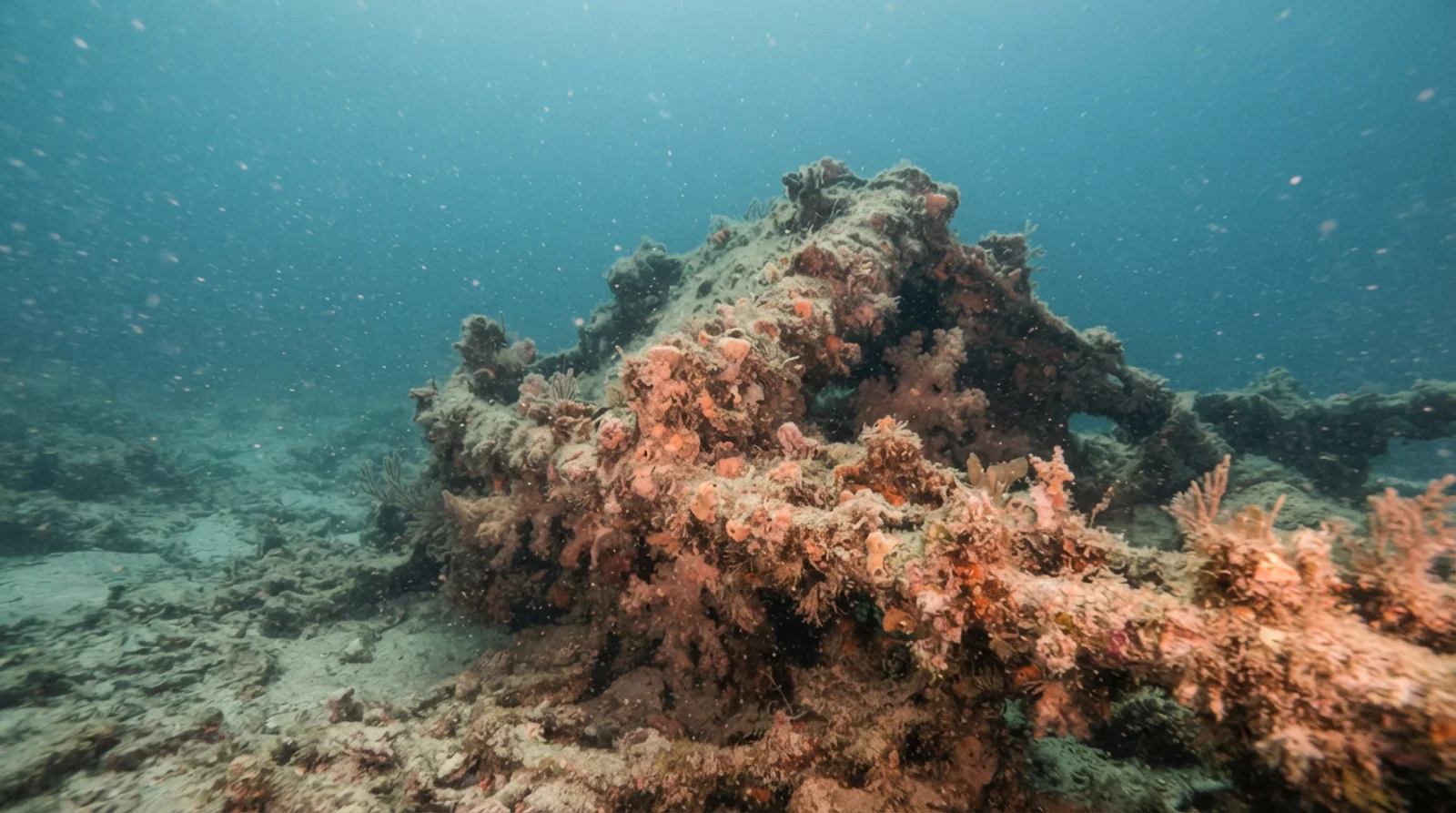 AI-generated illustration; site appearance unverified. Dona Marilyn Wreck — illustrative AI-generated scene; not the actual wreck.