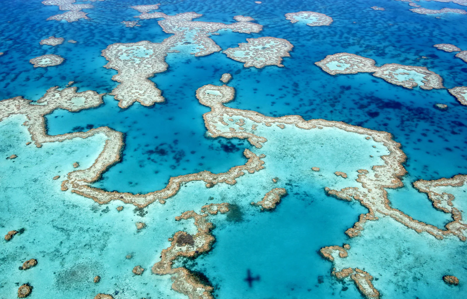 Bait Reef — Stepping Stones