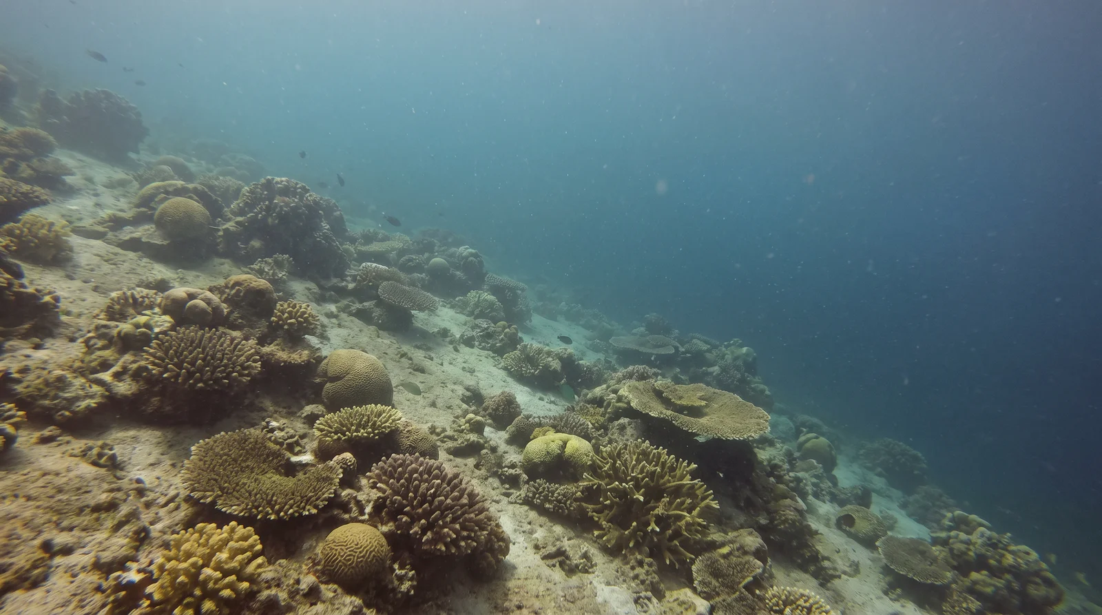 Kasai Point