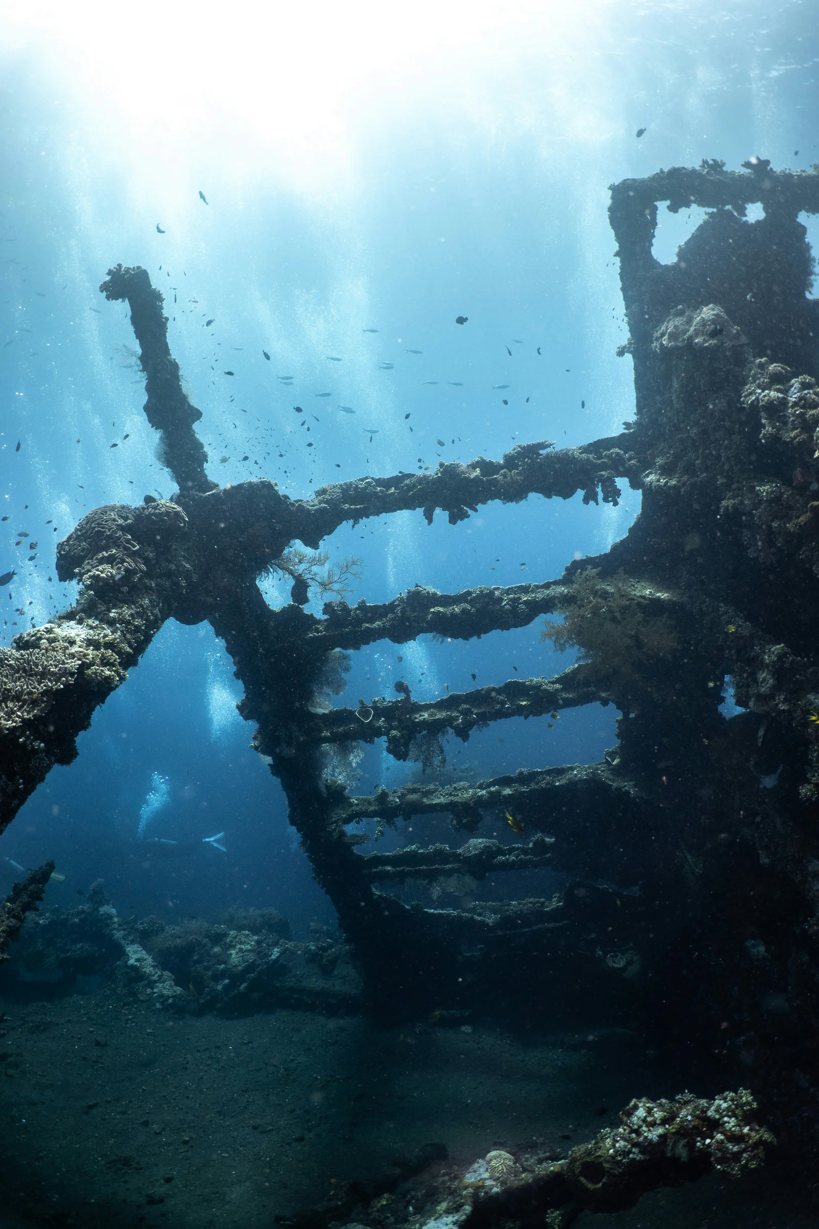 Sunlight streaming down over the coral-covered framework of a large deep shipwreck.