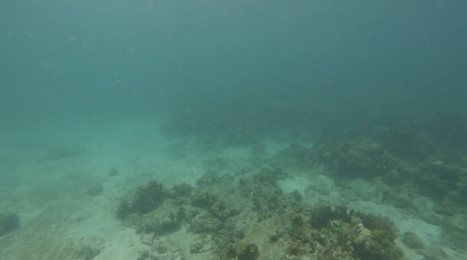 AI-generated illustration; site appearance unverified. Illustrative underwater scene for Secret Garden, Siargao. Not a photograph of the site.