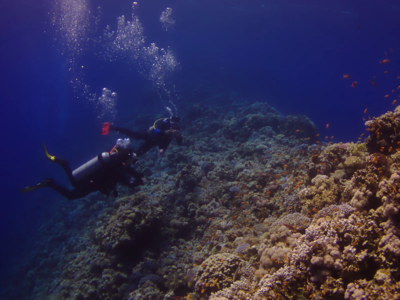 Divers crossing the shallow coral saddle into the Blue Hole sinkhole at Dahab, Red Sea.