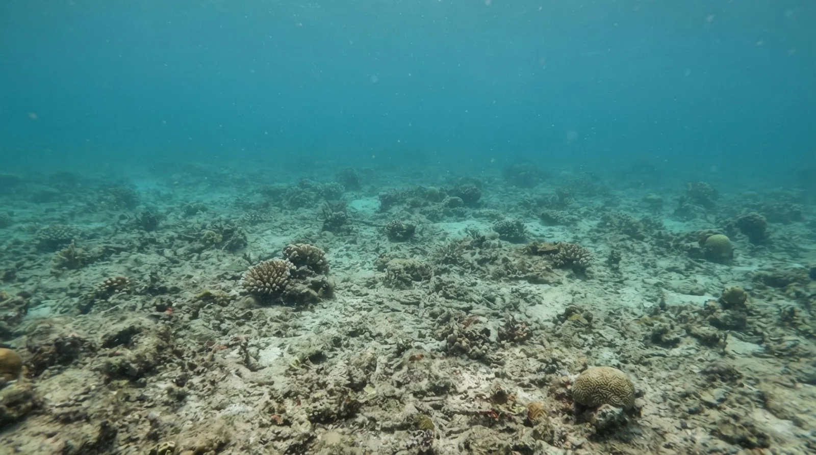 Maite Marine Sanctuary