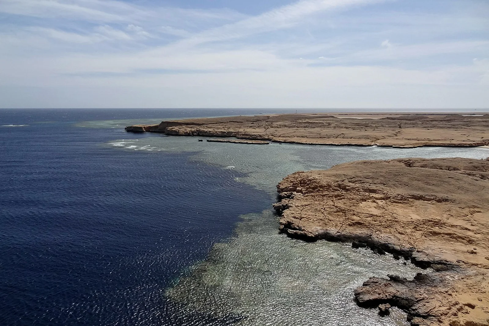Shark and Yolanda Reef