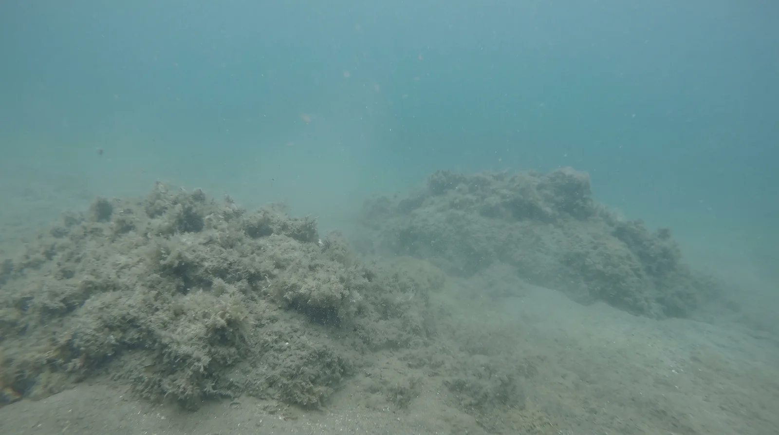 AI-generated illustration; site appearance unverified. Illustrative underwater scene for Daku Hills, Siargao. Not a photograph of the site.