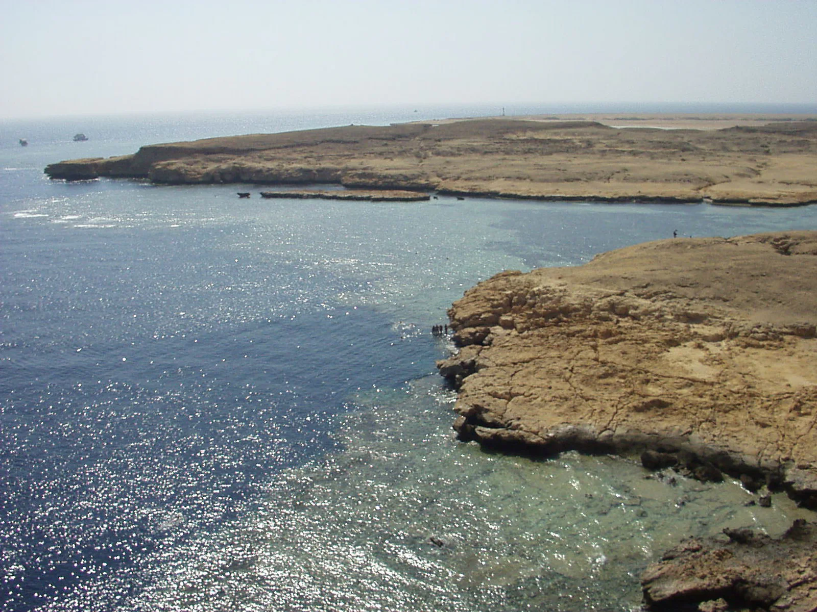 Coral reef in Ras Mohammed National Park at the tip of the Sinai Peninsula, Egypt.