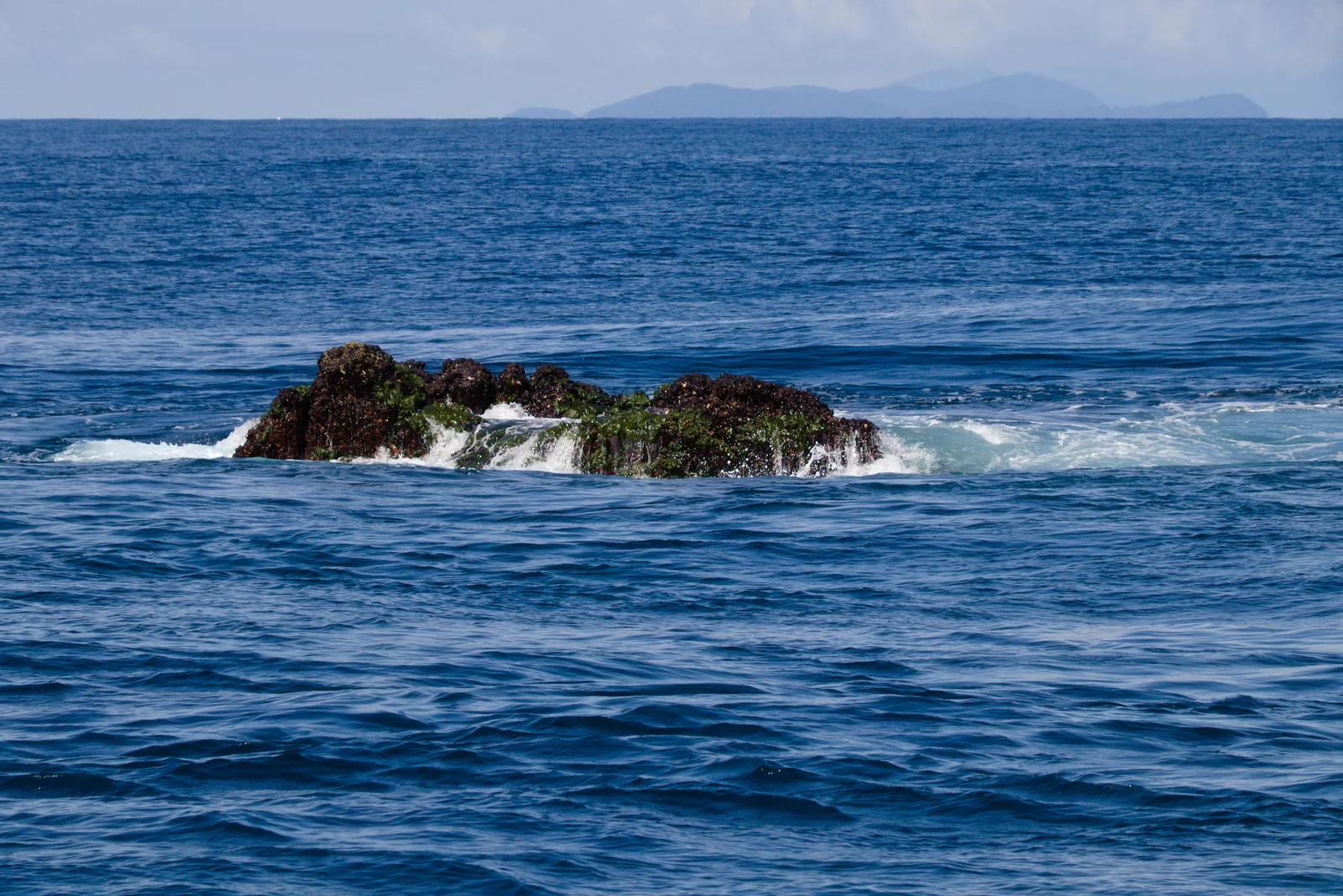 Diving at Richelieu Rock