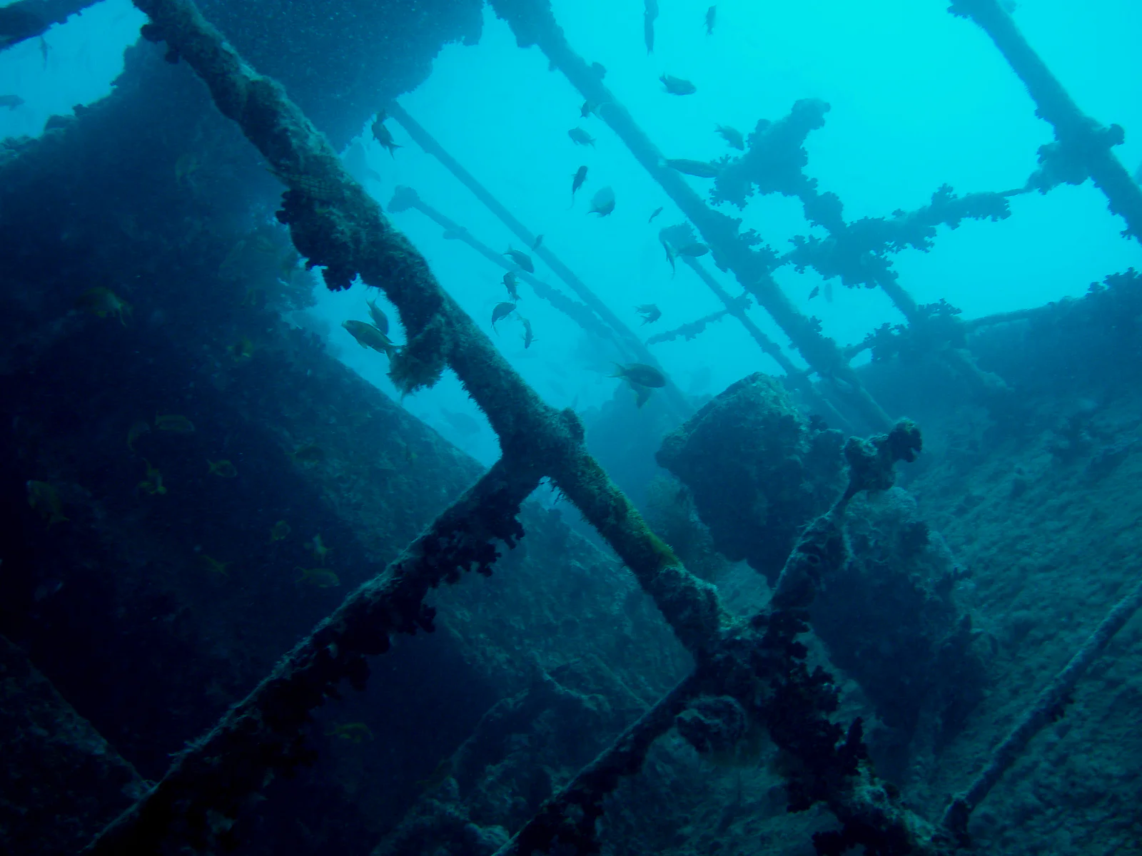 SS Thistlegorm